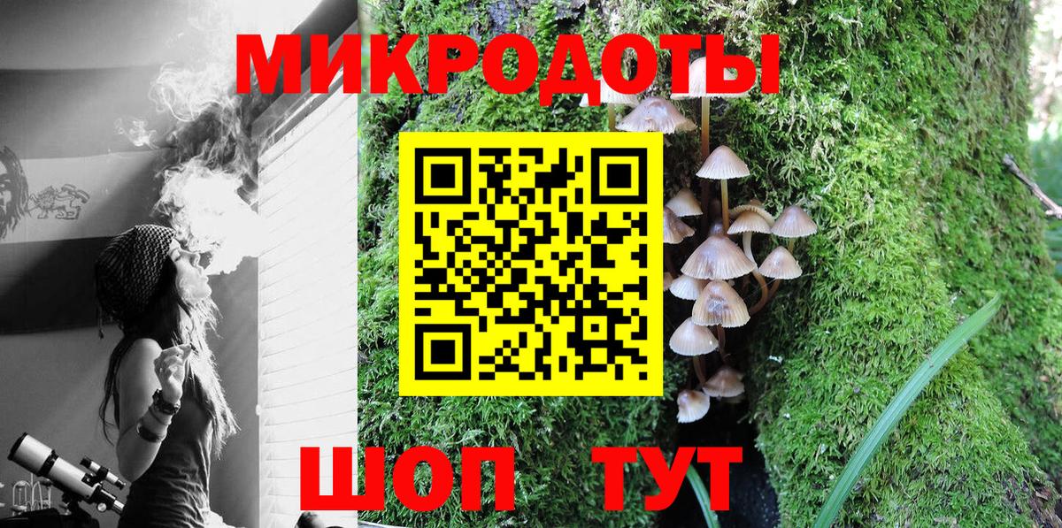 купить   Вход с VPN  Черемхово  Галлюциногенные грибы Magic Shrooms 